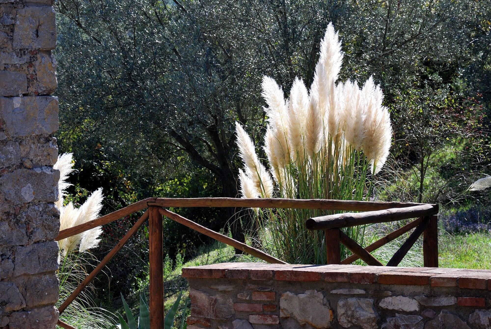 Hotel Tenuta Di Ricavo à Castellina in Chianti Extérieur photo